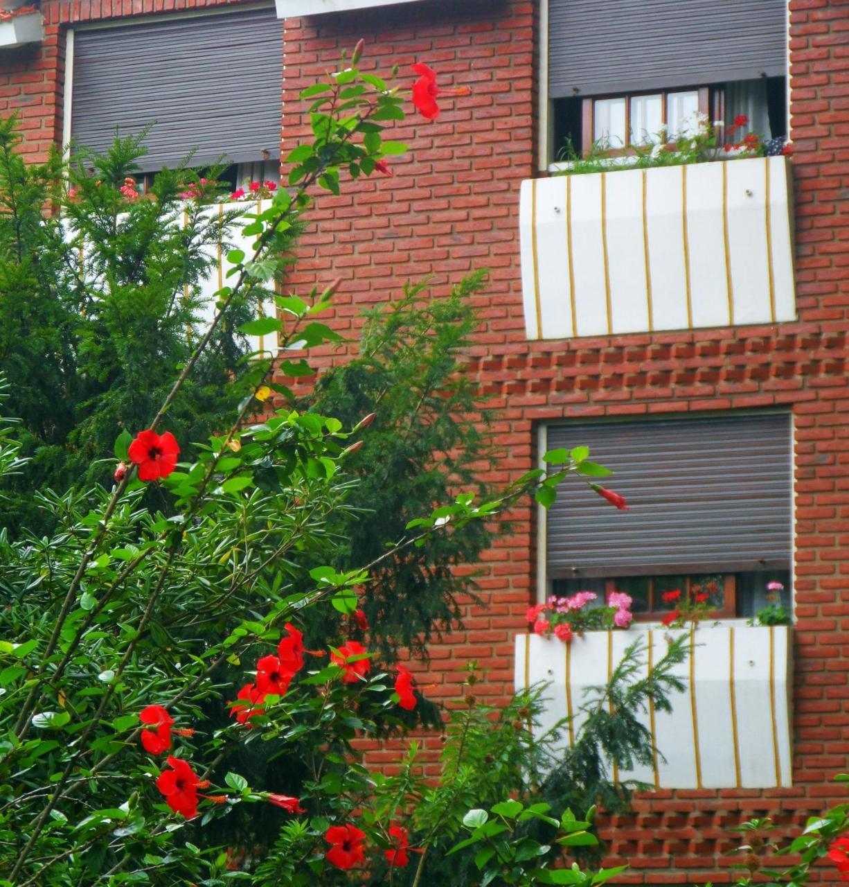 Hotel Eo Park San Clemente del Tuyú Extérieur photo